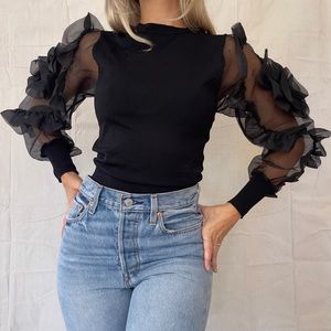Zara Puff Sleeve Top